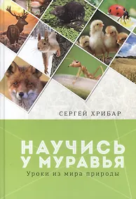 Купить Научись у муравья Уроки из мира природы (Хрибар) — Фото №1