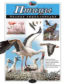 Купить Птицы. Полная энциклопедия — Фото №1