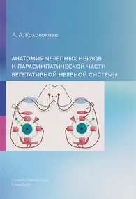 Купить Анатомия черепных нервов и парасимпатической части вегетативной нервной системы — Фото №1