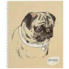 Купить Тетрадь в клетку Listoff, Sketch dog, 48 листов, в ассортименте — Фото №1