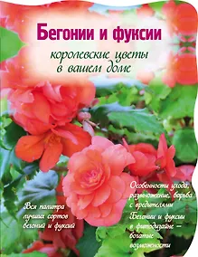 Купить Бегонии и фуксии.Королевсуие цветы в вашем доме — Фото №1