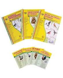 Купить Демонстрационные картинки СУПЕР. Птицы: перелетные, зимующие, домашние (комплект из 3-х наглядных материалов в папках + 4 набора карточек) — Фото №1