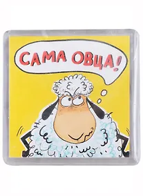 Купить АРТ-ДИЗАЙН СУВ Магнит пластик. 6*6см в асс. — Фото №1