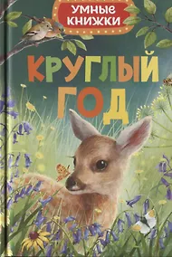 Купить Круглый год — Фото №1