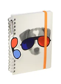 Купить Тетрадь Link Art, "Собаки", 80 листов, двойная обложка — Фото №1