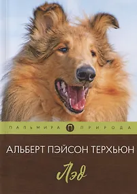 Купить Лэд — Фото №1