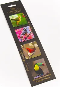 Купить Набор магнитных закладок, 4шт. Экзотические птицы — Фото №1