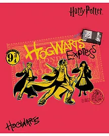 Купить Тетрадь в клетку "Гарри Поттер", 48 листов, в ассортименте — Фото №1