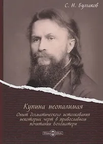 Купить Купина неопалимая. Опыт догматического истолкования некоторых черт в православном почитании Богоматери — Фото №1
