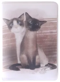 Купить Записная книжка А7 80л кл. "Коты. Муся и Кузя" в ПВХ-обложке, тонир.внутр.блок — Фото №1