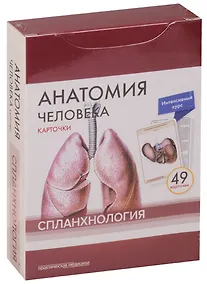 Купить Анатомия человека. Спланхнология (49 карточек) — Фото №1
