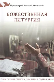 Купить Божественная литургия. Объяснение смысла, значения, содержания — Фото №1
