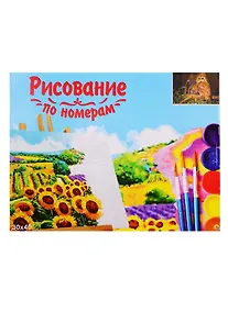 Купить Набор для раскрашивания по номерам ТМ Рыжий Кот Холст Древесная сова 30х40см Х-9103 — Фото №1