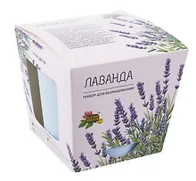 Купить Набор для выращивания растений "Магия Цветов", Лаванда — Фото №1