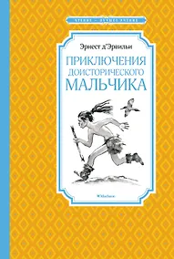 Купить Приключения доисторического мальчика — Фото №1