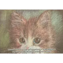 Купить Набор тонированной бумаги «Black», 10 листов, А4 — Фото №1