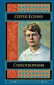 Купить Стихотворения — Фото №1