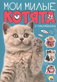 Купить Мои милые котята с наклейками — Фото №1