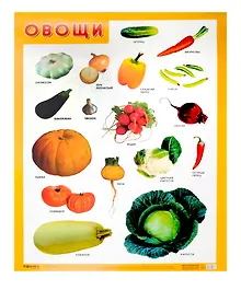 Купить Развивающие плакаты. Овощи — Фото №1