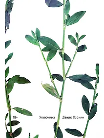 Купить Уключина — Фото №1