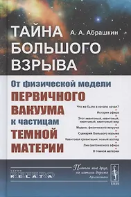 Купить Тайна Большого взрыва. От физической модели первичного вакуума к частицам темной материи — Фото №1