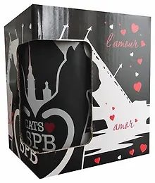 Купить Сувенир, АКМ, Кружка Cats love SPb Петропавловка,мосты, фарфор, матовая, черная, 350мл подарочная коробка — Фото №1