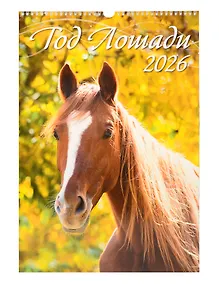 Купить Календарь 2026г 320*480 "Год Лошади. Вид 1" настенный, на спирали — Фото №1