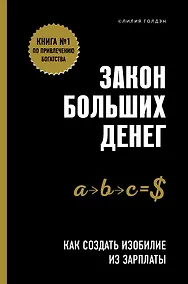 Купить Закон больших денег. Как создать изобилие из зарплаты — Фото №1