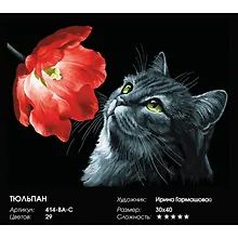 Купить Набор для творчества Живопись на холсте 30х40см Тюльпан 414-BA-C — Фото №1