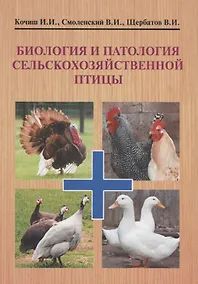Купить Биология и патология сельскохозяйственной птицы Учебник (УчДлСтВУчЗ) Кочиш — Фото №1