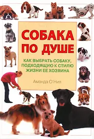 Купить Собака по душе — Фото №1