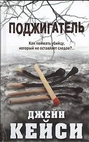 Купить Поджигатель : [роман] — Фото №1