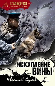 Купить Искупление вины — Фото №1