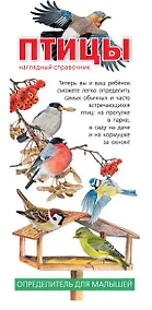 Купить Птицы. Наглядный справочник — Фото №1