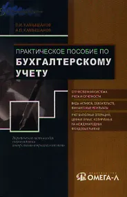 Купить Практическое пособие по бухгалтерскому учету — Фото №1