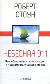Купить Небесная 911 — Фото №1