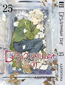 Купить Бездомный бог. Том 25 (Noragami). Манга — Фото №1