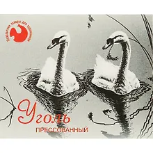 Купить Уголь прессованный, 10 штук — Фото №1