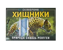 Купить Хищник — Фото №1