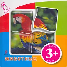 Купить Животные — Фото №1