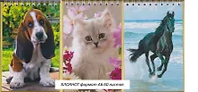 Купить Блокнот, "Животные, Буквоед, А6, 60 листов, на спирали, в ассортименте — Фото №1