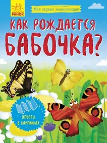 Купить Как рождается бабочка? — Фото №1