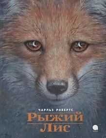 Купить Рыжий Лис — Фото №1