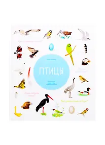 Купить Птицы — Фото №1