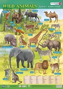 Купить Учебный плакат. Английский язык. Дикие животные. (Формат А2) — Фото №1