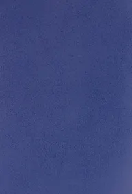 Купить Тетрадь в клетку Listoff, "Синий бумвинил", А4, 96 листов — Фото №1