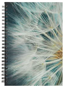 Купить Тетрадь в линейку Listoff, "Макросъемка", 80 листов — Фото №1