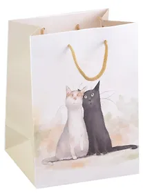 Купить Пакет А5 23*18*10 "Коты. Павлик и Валера. Basic" нейтр., бум.мат.ламинат — Фото №1