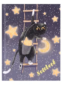 Купить Записная книжка А6 48л лин. "ЗВЕЗДОЧЕТ" тв.переплёт, полноцв.печать, глянц.гологр.ламинация — Фото №1