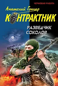 Купить Разведчик Соколов: роман — Фото №1